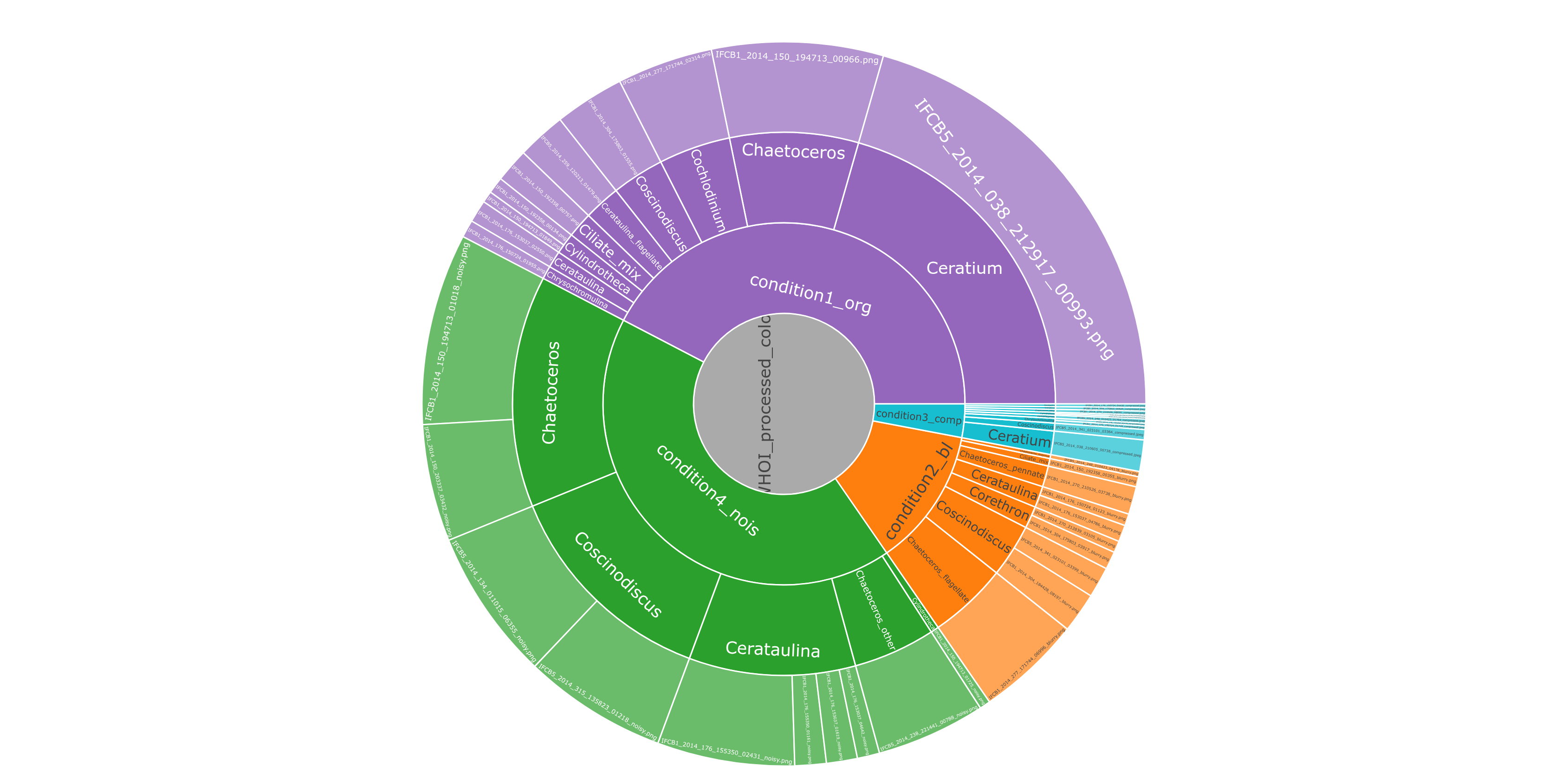 File Structure Sunburst