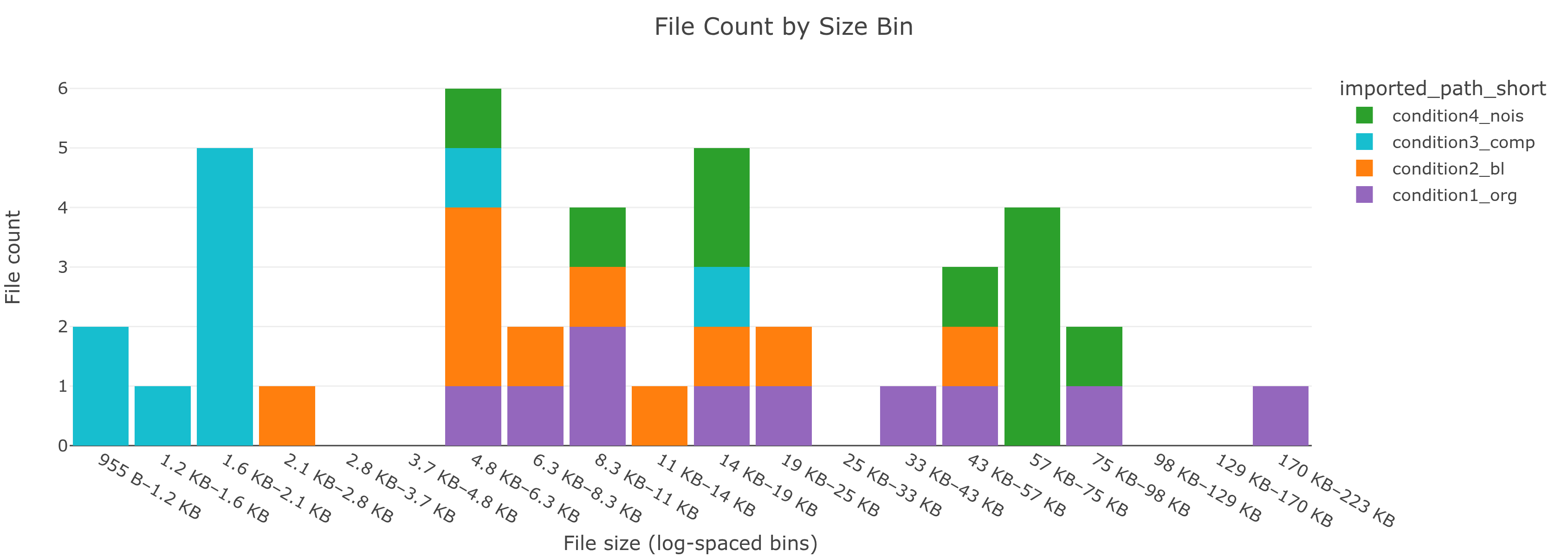 File Count by Size Bin