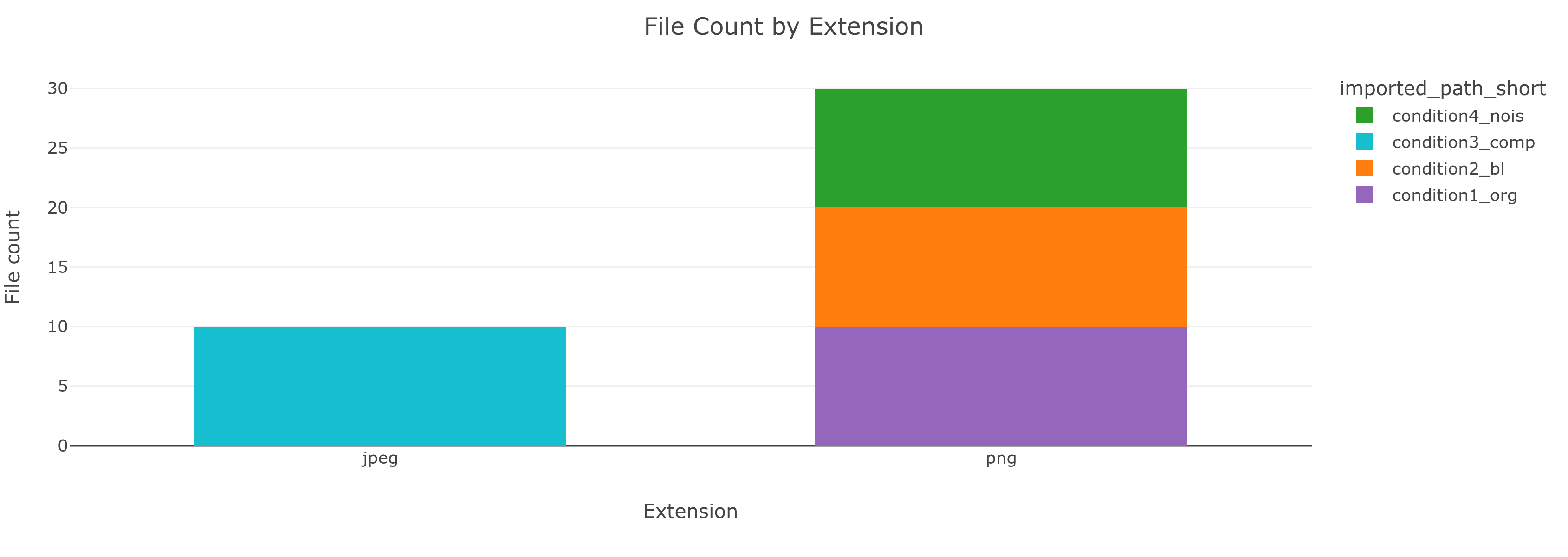 File Count by Extension