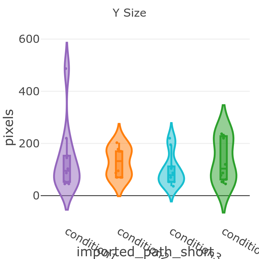 Y size distribution