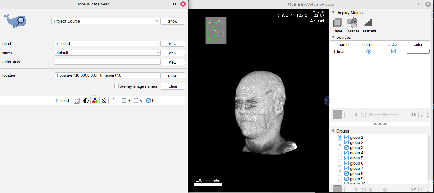 Mobie (BigVolumeViever)