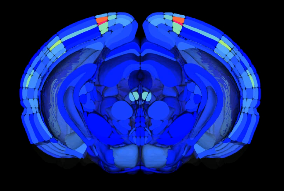 Rendering meshes in VTK | 3D Data Visualization Workshop